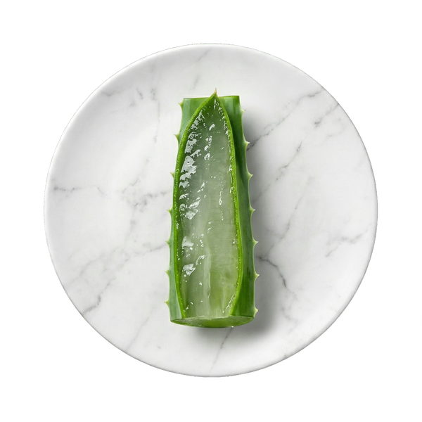 Aloe Barbadensis Blattsaft