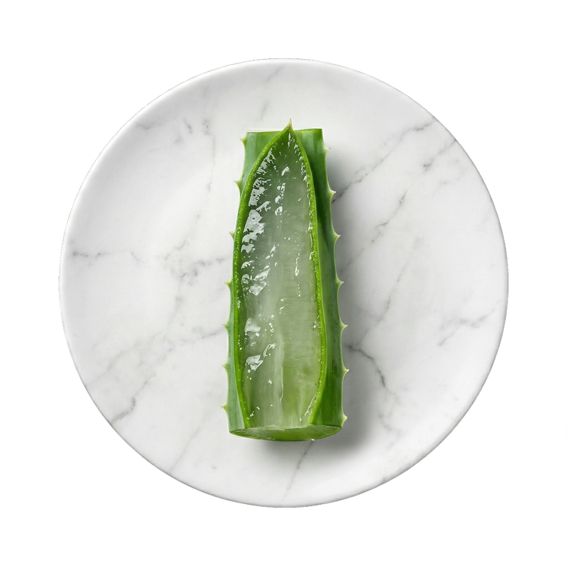 Aloe Barbadensis Blattsaft