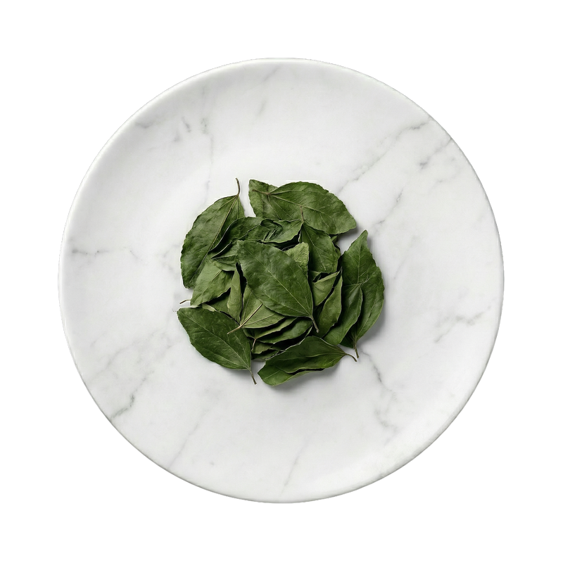 Ziziphus Spina-Christi Blatt