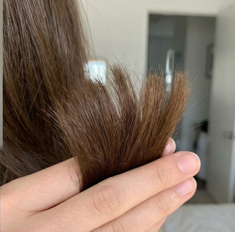 Close-up of a hand holding brown fresh hair, with a blurred indoor background.